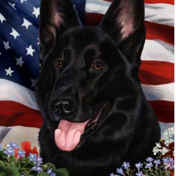 Meet your Posher, Ricky - Picture 1 of 1